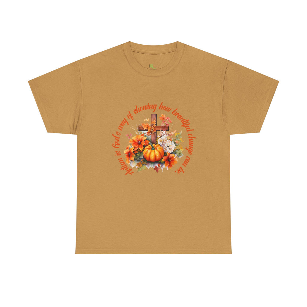 Fall Changes