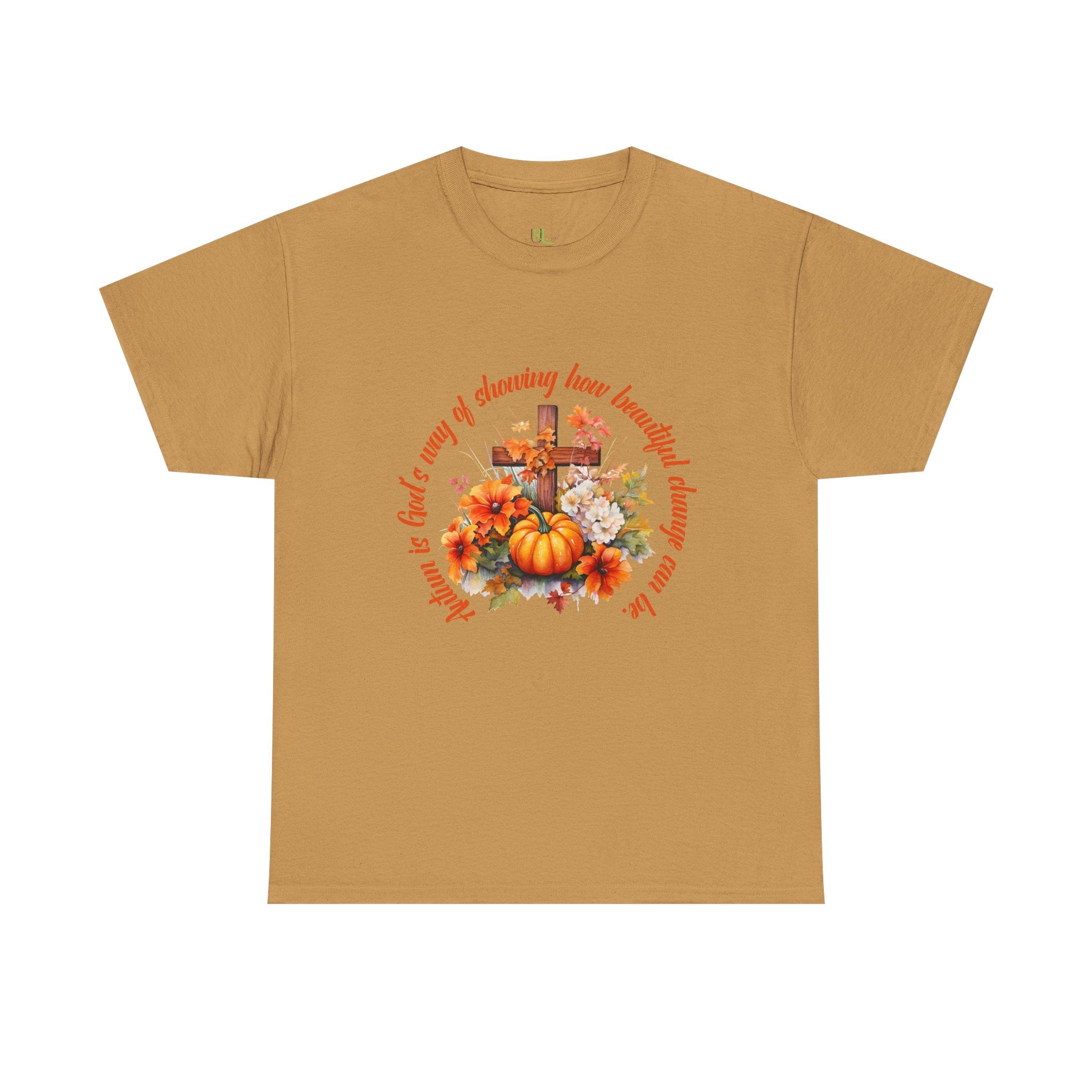 Fall Changes